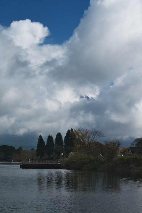 田貫湖南岸4