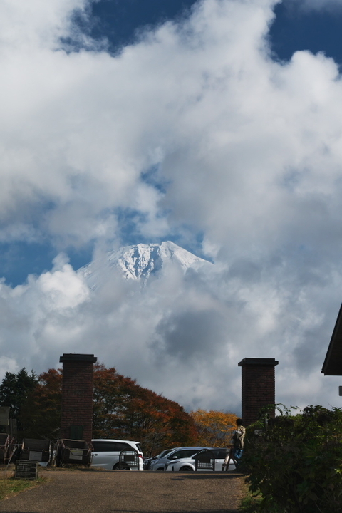 田貫湖南岸5