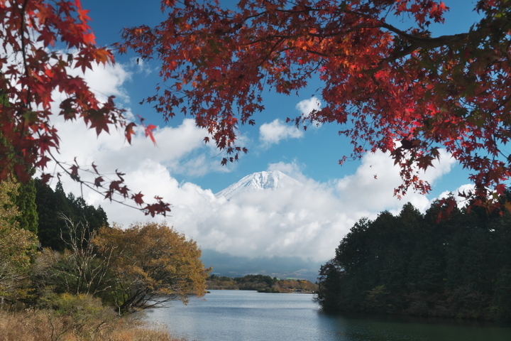 田貫湖富岳テラス2