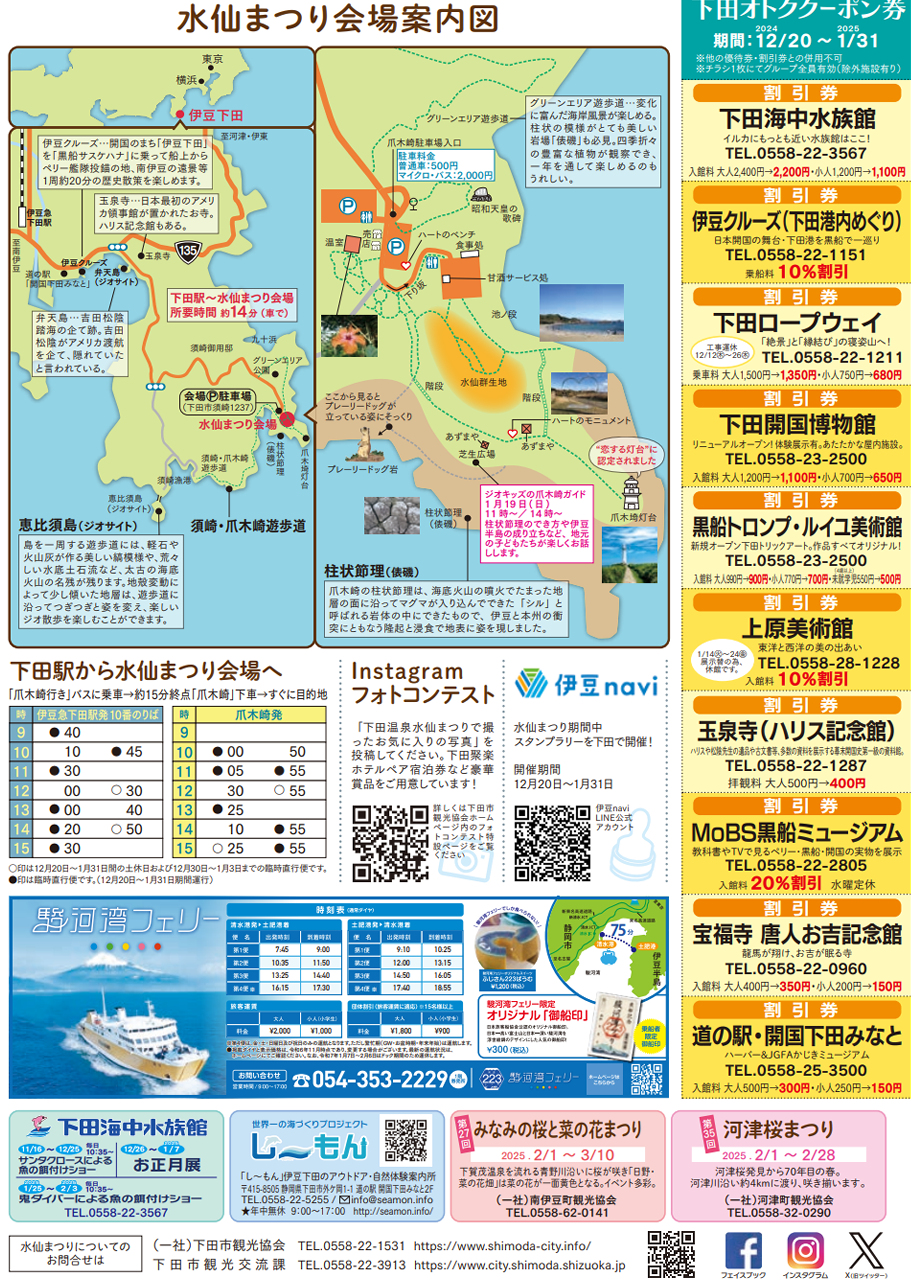 第59回(令和6年度)下田水仙まつり．2