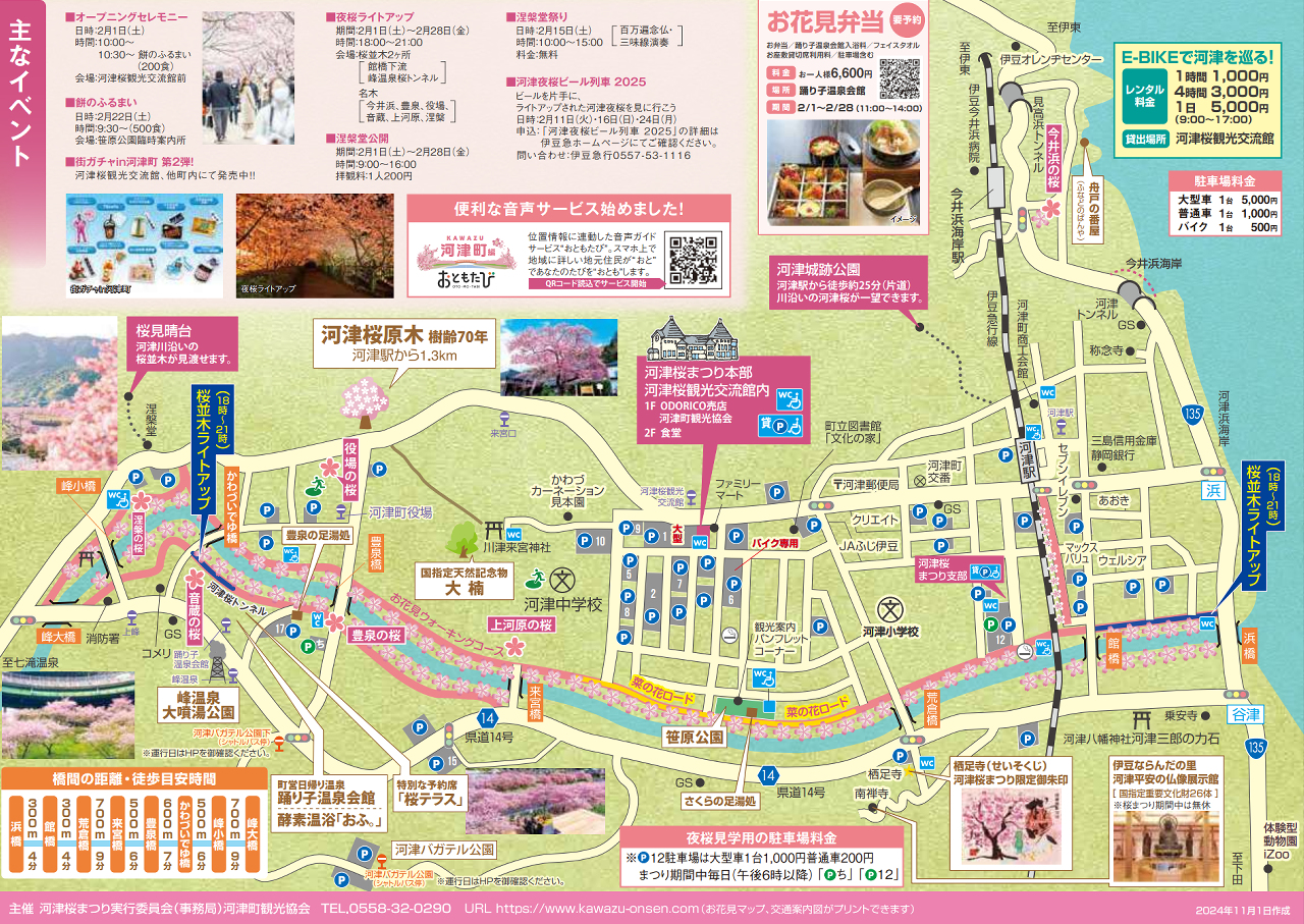 第35回河津桜まつり2025．2