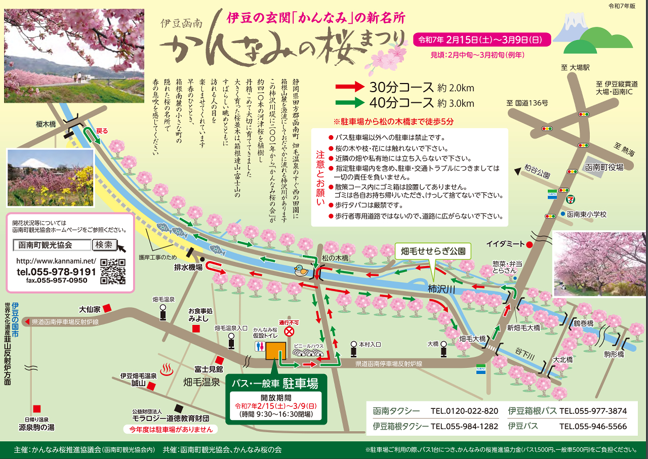 かんなみの桜まつり2025マップ