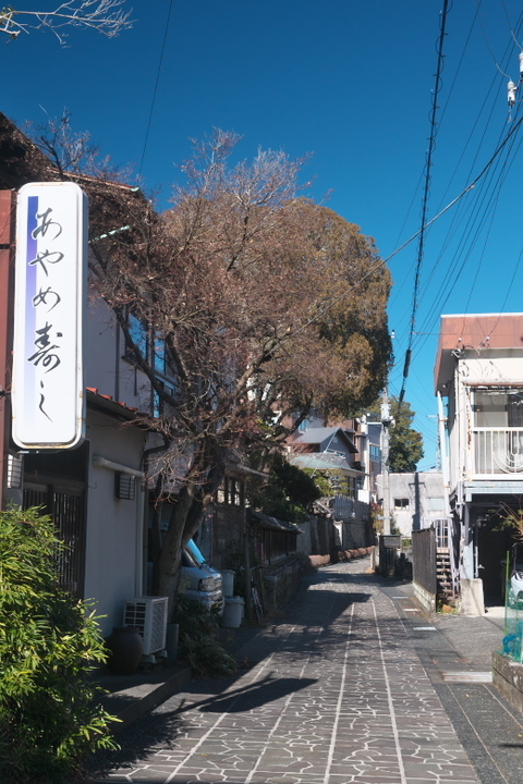 あやめ小路
