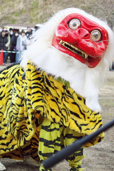 大鵺