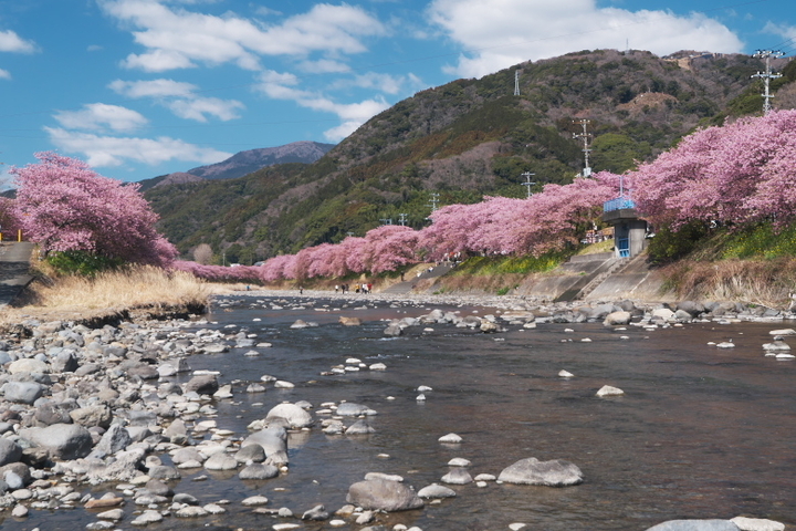 豊泉の足湯処近く河原から