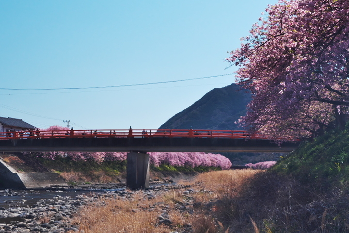 豊泉橋