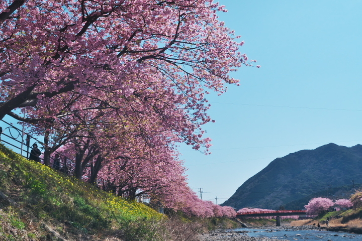 上流から豊泉橋方向
