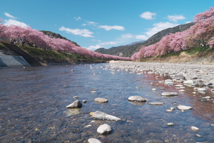 川の中から？