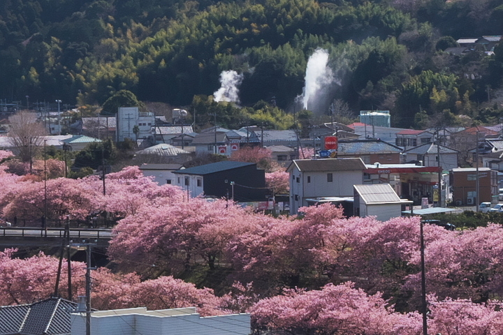 峰温泉の間欠泉