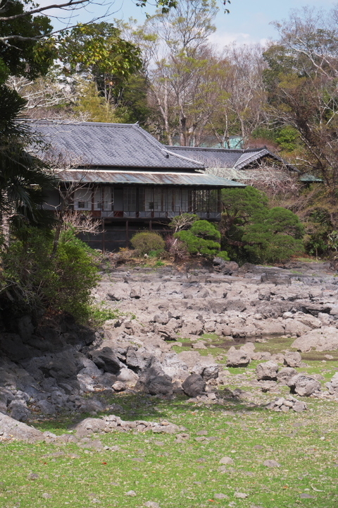 楽寿園　小浜池