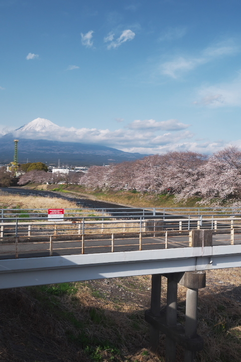 龍巌淵と富士山