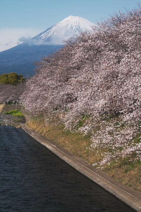 龍巌淵と富士山2
