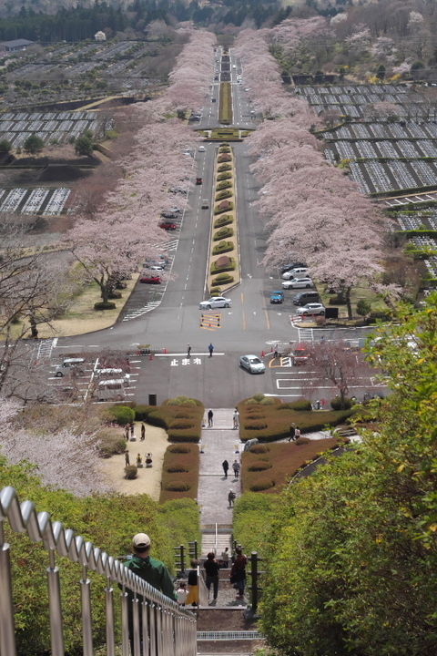 小山町 富士霊園　見晴らし台から