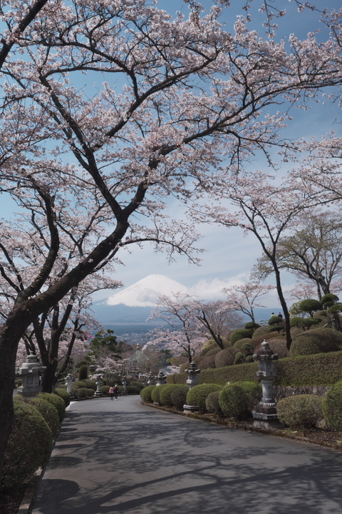 御殿場 富士平和公園