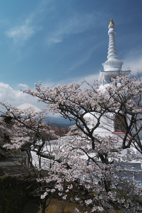 御殿場 富士平和公園 仏舎利塔3