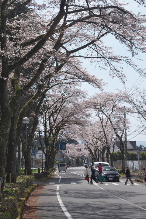 秩父宮記念公園前
