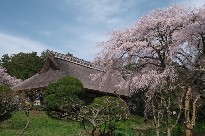 秩父宮記念公園1