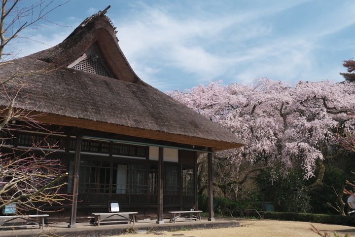 秩父宮記念公園2