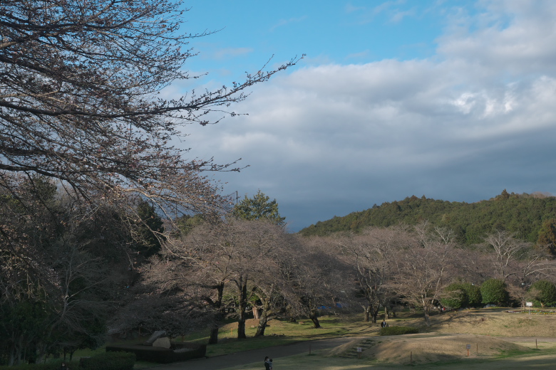 岩本山公園1
