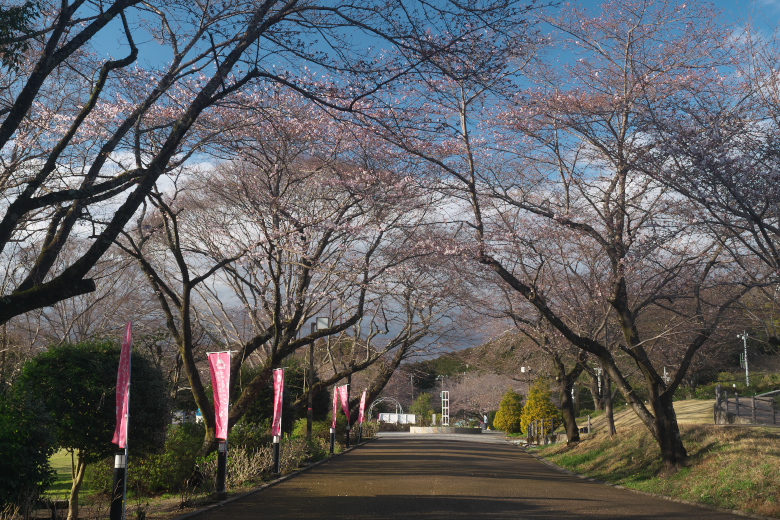 岩本山公園2
