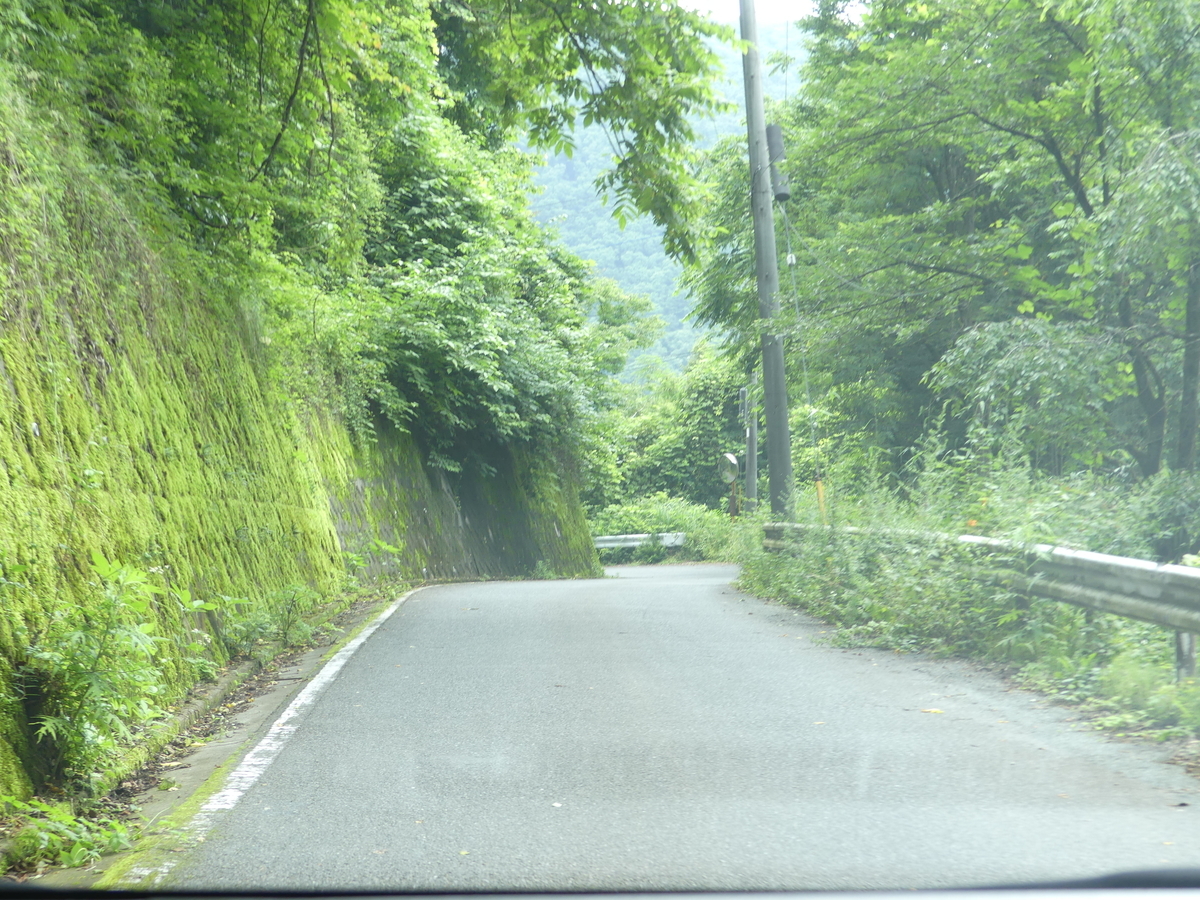 f:id:hujyoshimama:20190804222256j:plain f:id:hujyoshimama:20190804222256j:plain