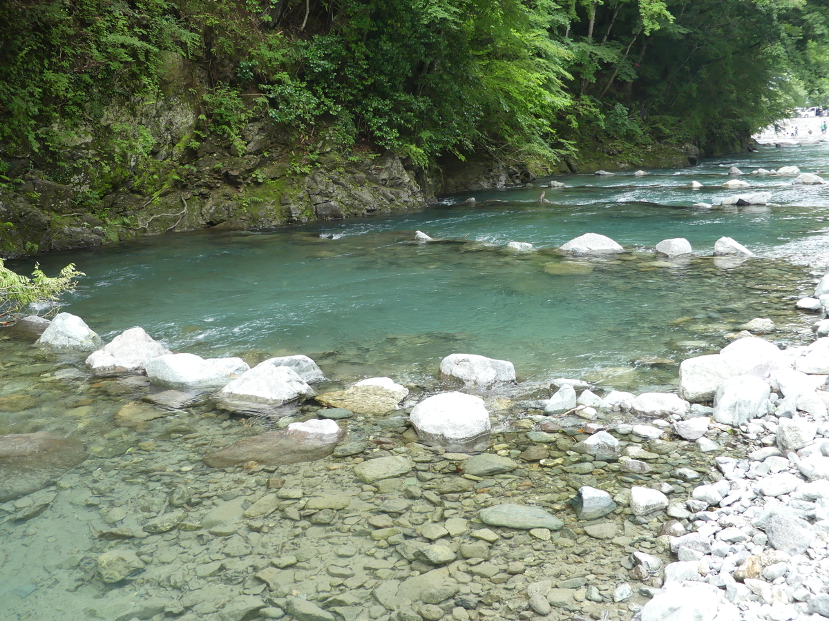 f:id:hujyoshimama:20190804224547j:plain f:id:hujyoshimama:20190804224547j:plain