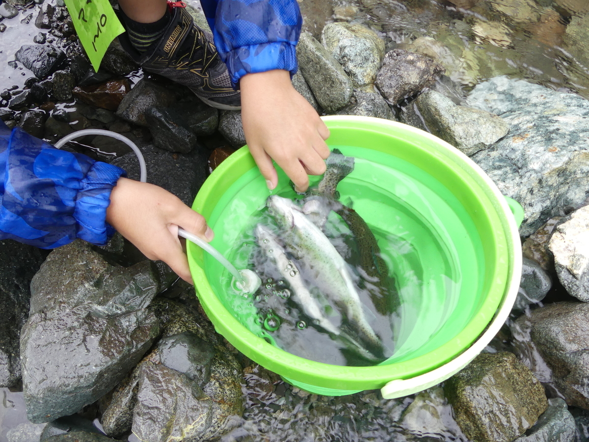 f:id:hujyoshimama:20190804230925j:plain f:id:hujyoshimama:20190804230925j:plain