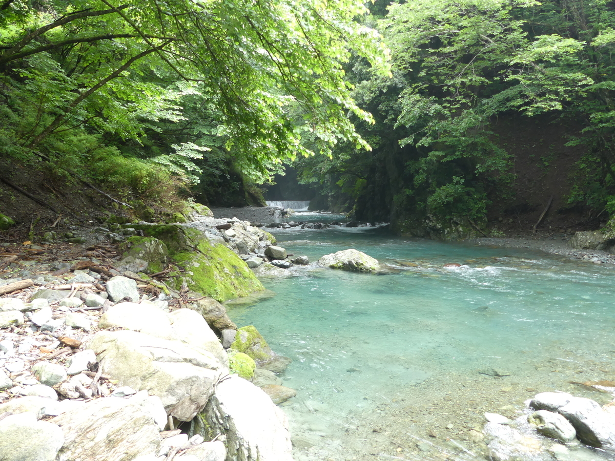 f:id:hujyoshimama:20190804235251j:plain f:id:hujyoshimama:20190804235251j:plain