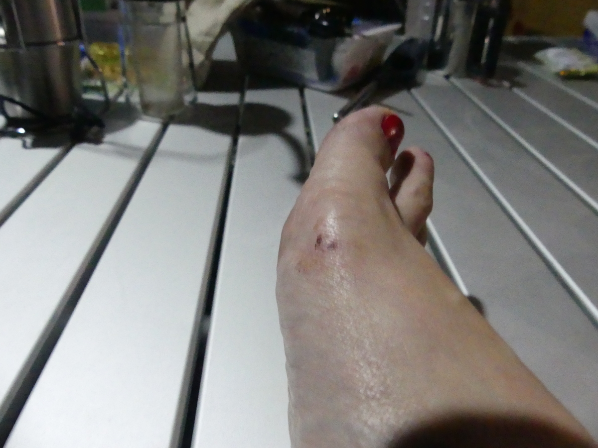 f:id:hujyoshimama:20190804235356j:plain f:id:hujyoshimama:20190804235356j:plain