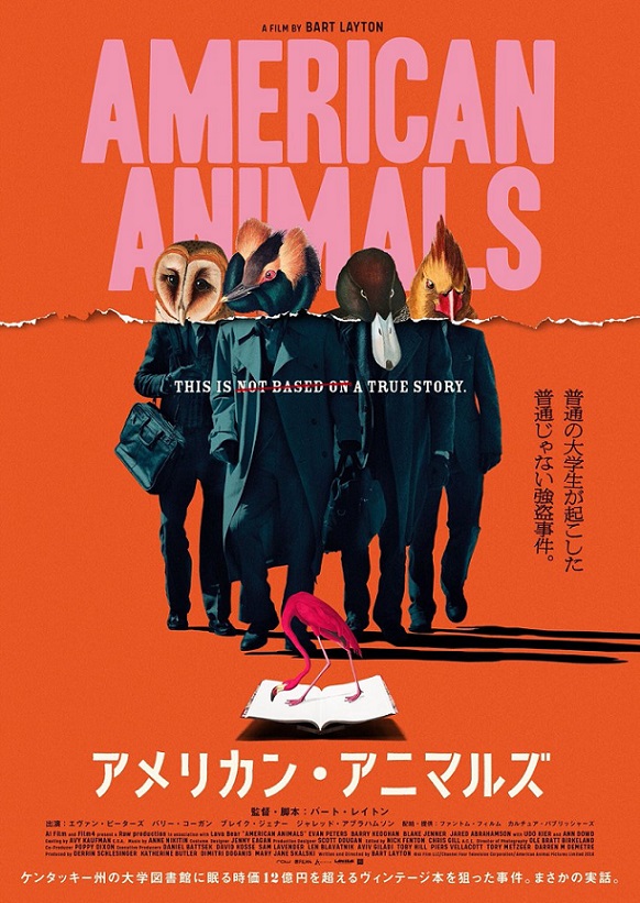f:id:hukadume7272:20191104045012j:plain