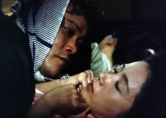 f:id:hukadume7272:20191115041154j:plain