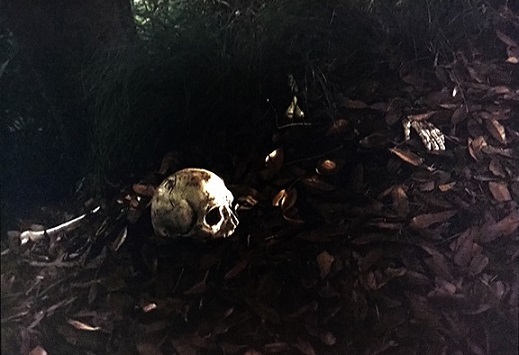 f:id:hukadume7272:20191115043721j:plain