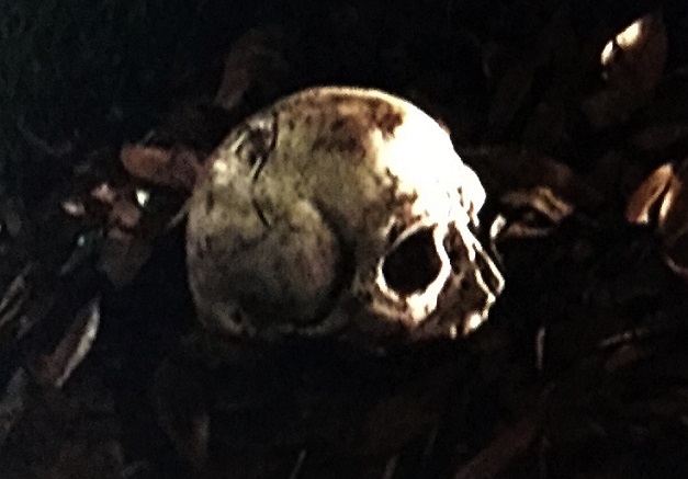 f:id:hukadume7272:20191115043901j:plain