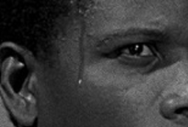 f:id:hukadume7272:20200410093649j:plain