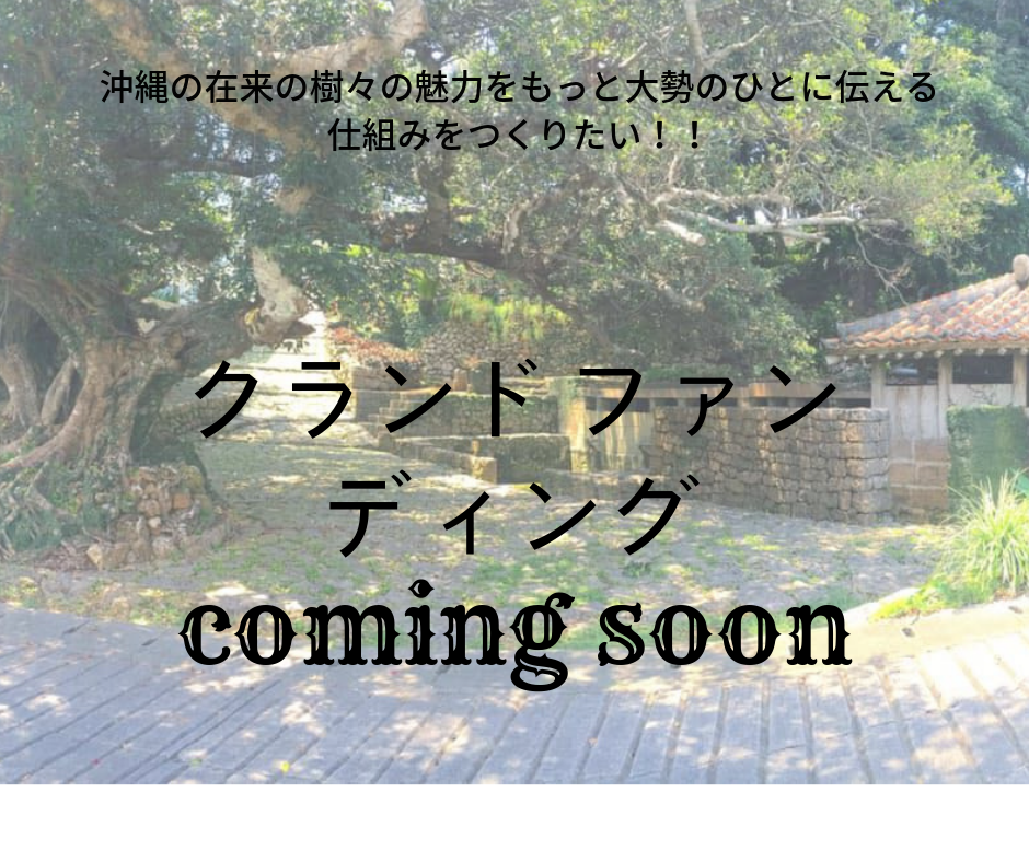 f:id:hukeidukuriproject:20181213224441p:plain f:id:hukeidukuriproject:20181213224441p:plain