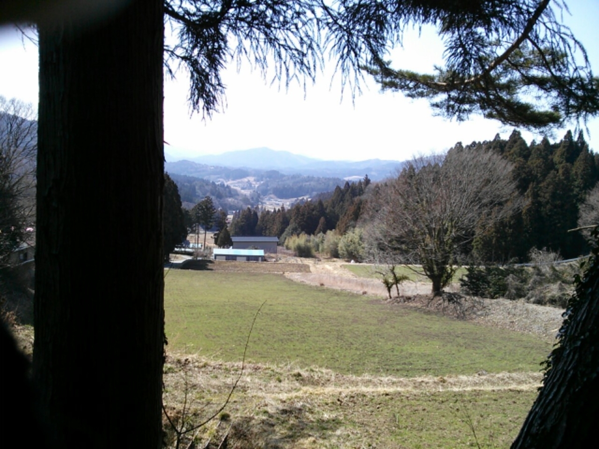 f:id:hukihuuki:20200311230717j:plain f:id:hukihuuki:20200311230717j:plain