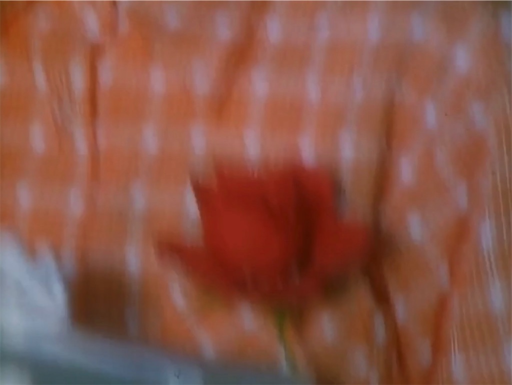 f:id:hukino:20230723194454j:image