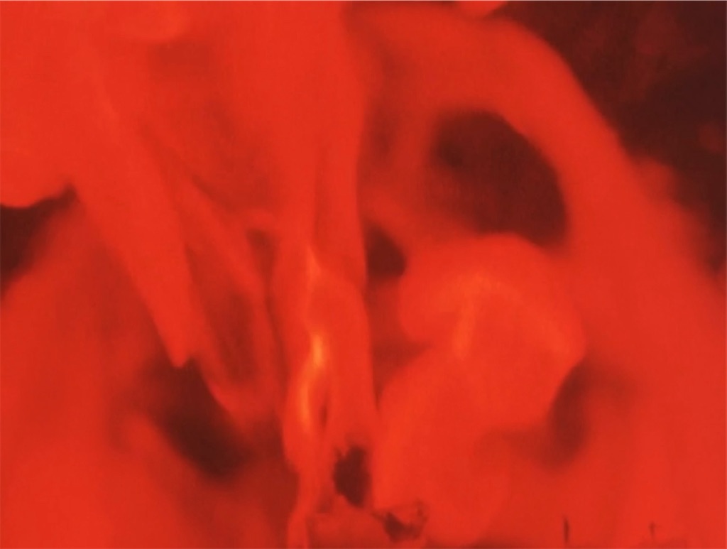 f:id:hukino:20231119220411j:image