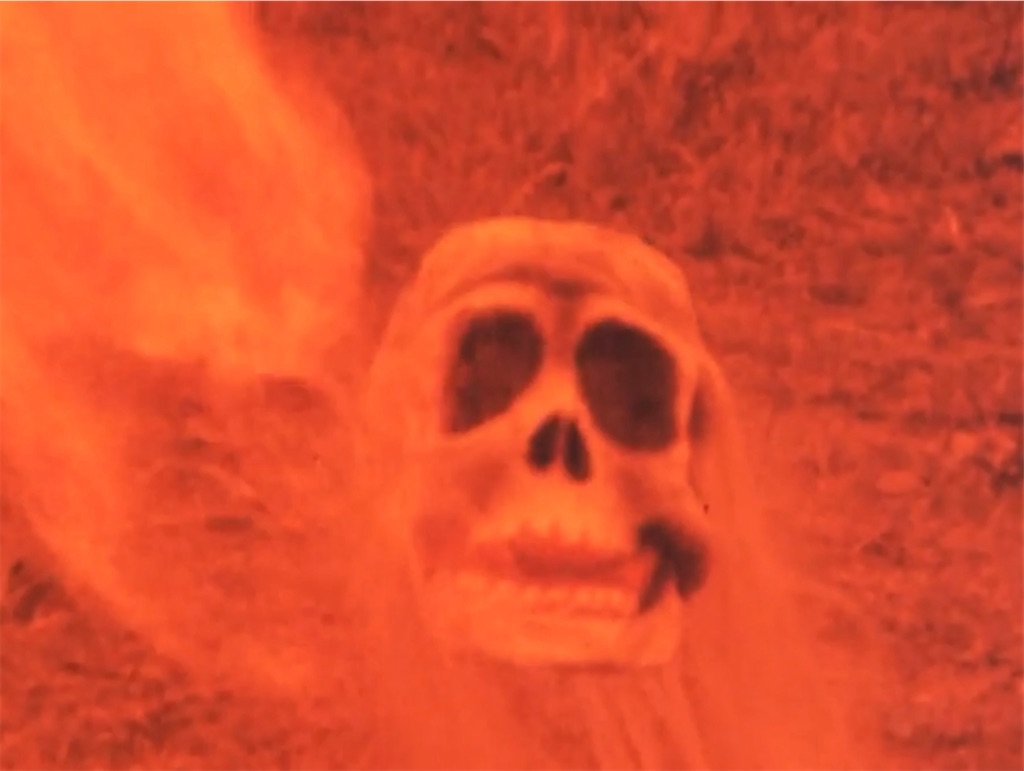 f:id:hukino:20231119225054j:image