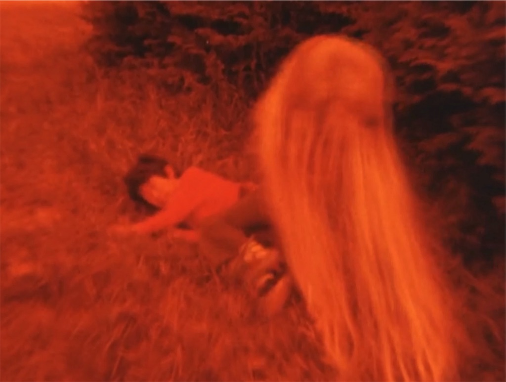 f:id:hukino:20231119225106j:image