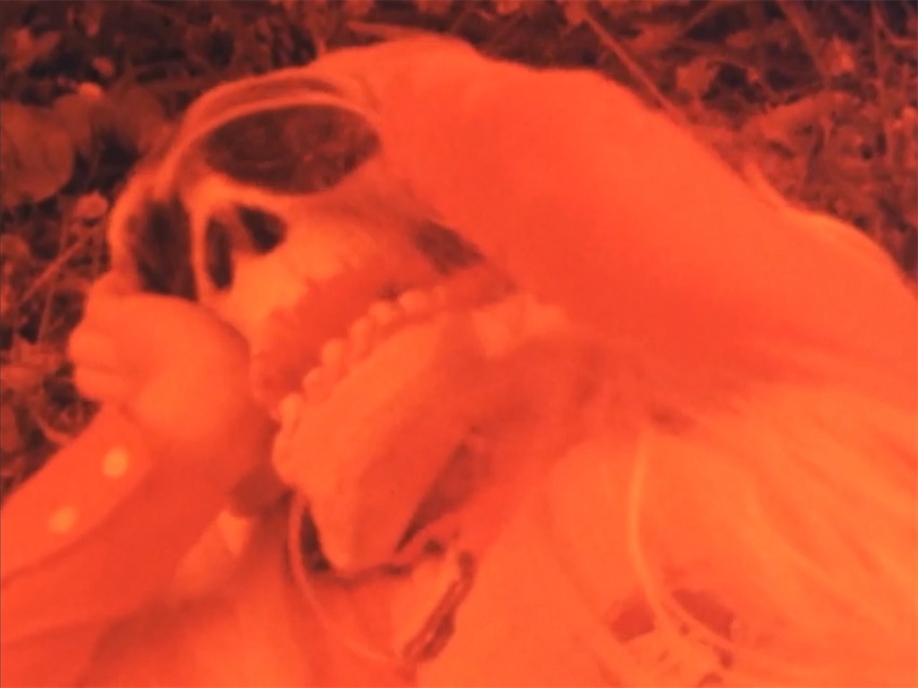 f:id:hukino:20231119225133j:image