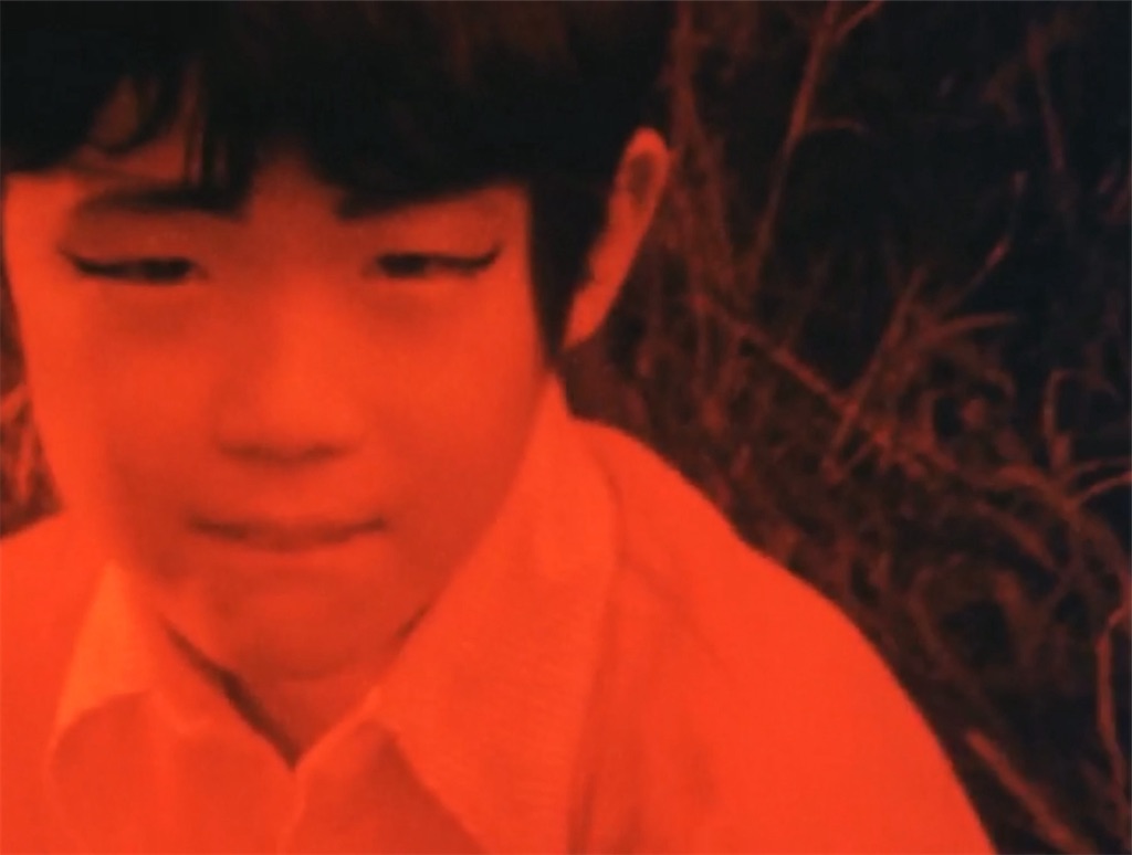 f:id:hukino:20231119225135j:image