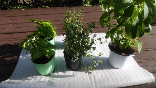 f:id:hukkats:20200525235117j:plain