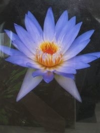 f:id:hukkats:20210202133434j:plain