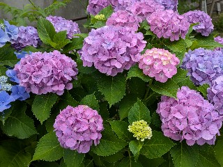 f:id:hukkats:20240621010245j:image