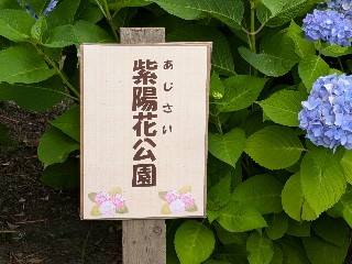 f:id:hukkats:20240621010309j:image