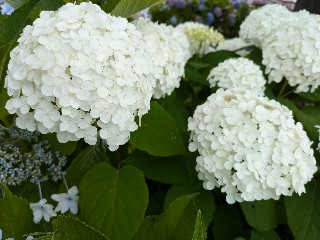 f:id:hukkats:20240621010329j:image