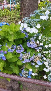 f:id:hukkats:20240621011013j:image