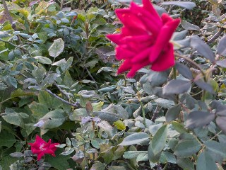 f:id:hukkats:20241108215401j:image