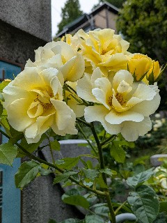 f:id:hukkats:20250525031151j:image